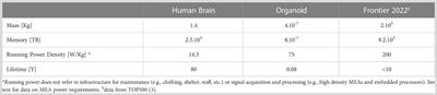 To brain or not to brain organoids